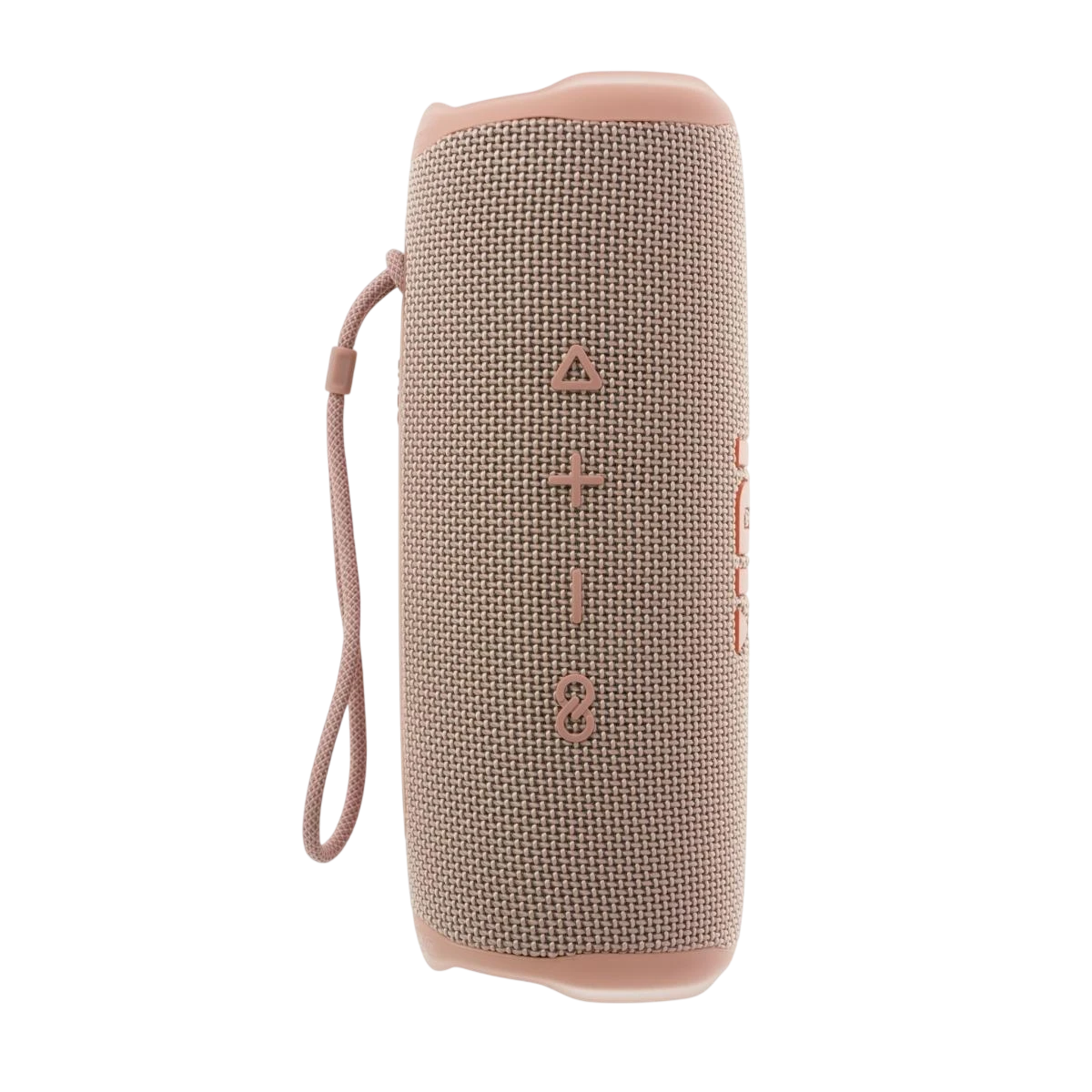 JBL Flip 6 Pink