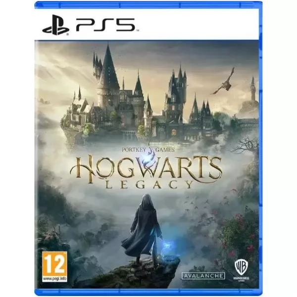 Диск для PS5 Hogwarts - Legacy