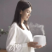 Ароматизатор воздуха Xiaomi HL Aroma Diffuser Pro