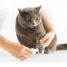 Триммер для когтей домашних животных Xiaomi Pawbby Pet Electric Nail Polisher